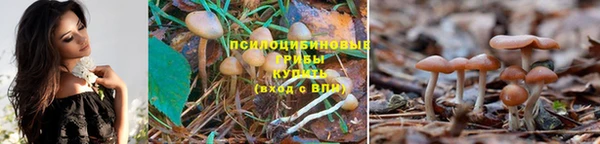 индика Абдулино