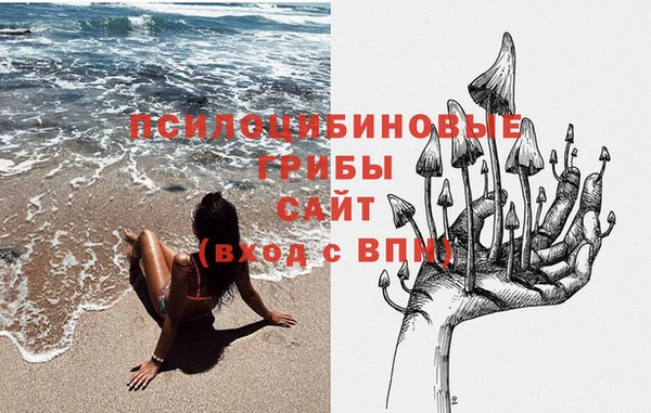 индика Абдулино