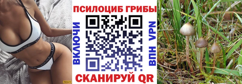 hydra маркетплейс  Хасавюрт  Псилоцибиновые грибы ЛСД 