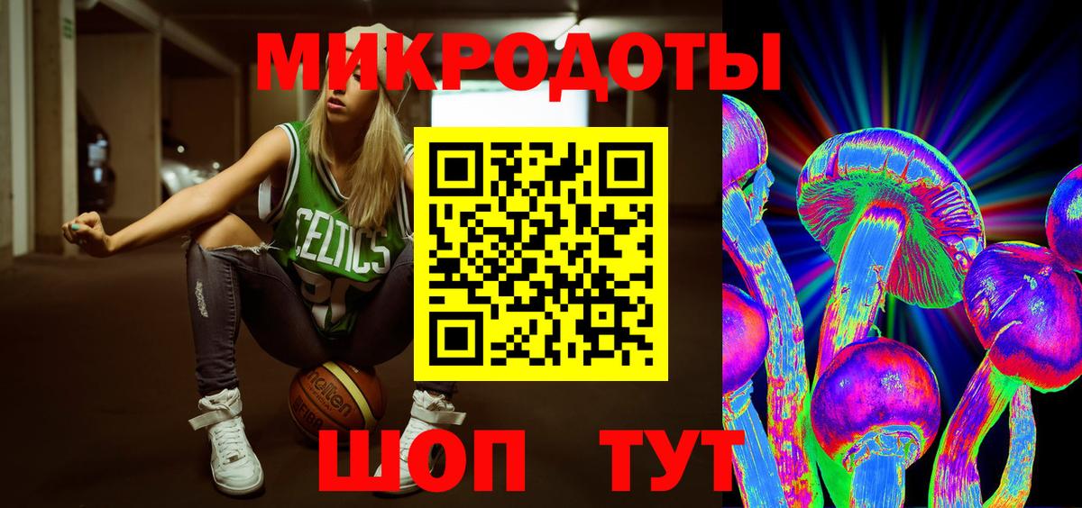 Галлюциногенные грибы Psilocybine cubensis Хасавюрт