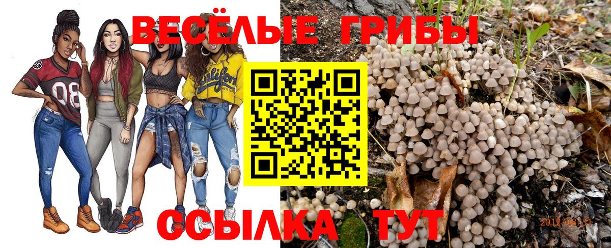 Хасавюрт  Галлюциногенные грибы GOLDEN TEACHER  Вход с VPN 